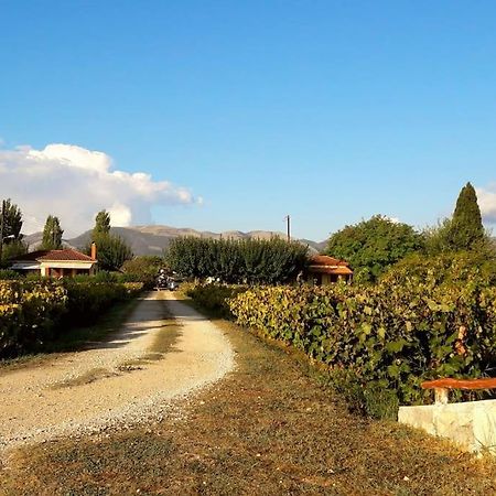 Authentic Country House In Zakynthos Ambelokipoi  Luaran gambar