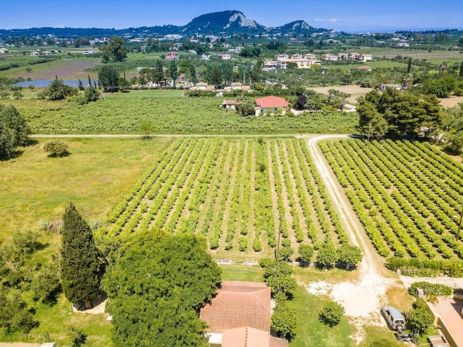 Authentic Country House In Zakynthos Ambelokipoi  Luaran gambar