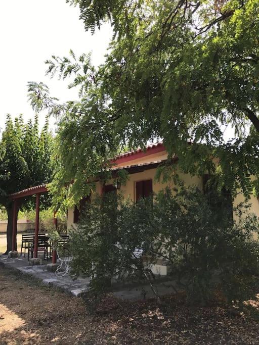 Authentic Country House In Zakynthos Ambelokipoi  Luaran gambar