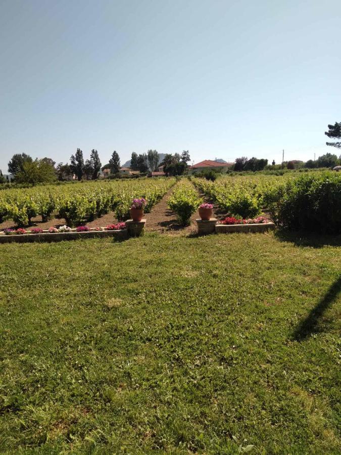 Authentic Country House In Zakynthos Ambelokipoi  Luaran gambar