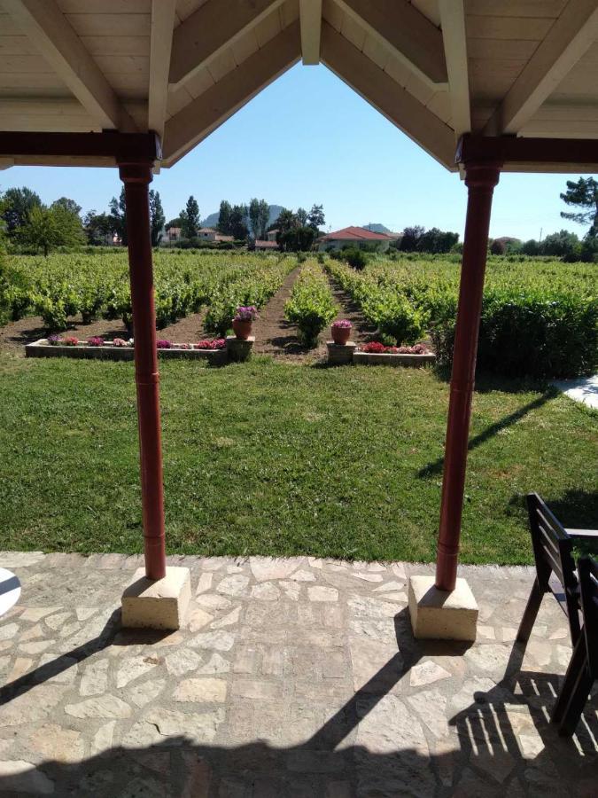 Authentic Country House In Zakynthos Ambelokipoi  Luaran gambar
